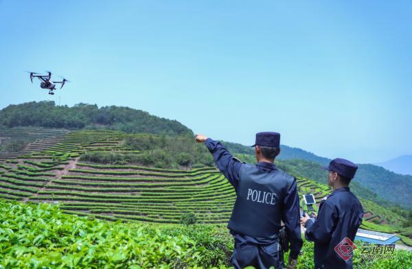 连续8年缴毒量突破一吨，云南这个边境管理支队是如何做到的？